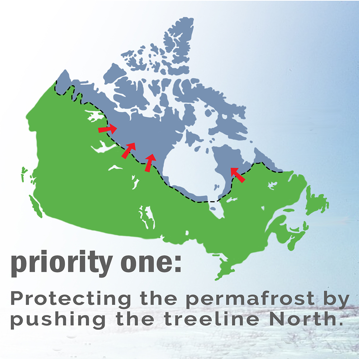 Priority One, Pushing the Treeline North to protect the permafrost